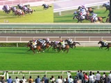 賽馬‧沙田馬場