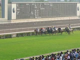 賽馬‧沙田馬場