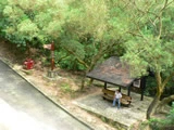 金山郊野公園