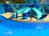 海洋公園‧2008
