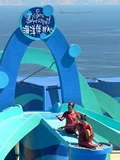 海洋公園‧2008