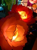 中秋花燈‧2009