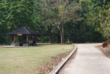 金山郊野公園