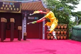 少林功夫表演。