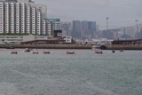 香港龍舟嘉年華