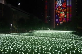 玫瑰燈海園-香港站