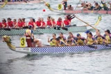 香港龍舟嘉年華