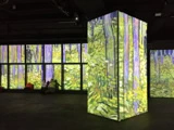 梵高在世：多感官體驗展覽