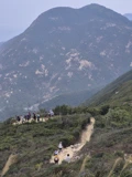 龍脊