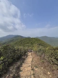 龍脊