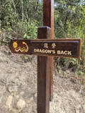 龍脊