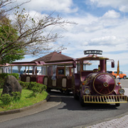 原來入口處有火車上山呢！