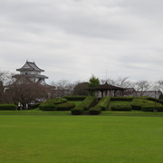 天ケ城公園內的櫻花廣場。