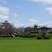 天ケ城公園內的櫻花廣場。