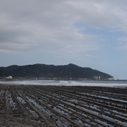 鬼の洗濯板。