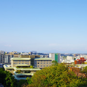 熊本城外景色。