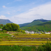 返回島源市的路上。