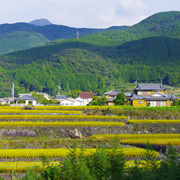 返回島源市的路上。