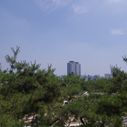 南山公園。