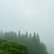 除了霧，還是霧。