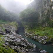 旅行團大隊還是要勇往直前‧‧‧