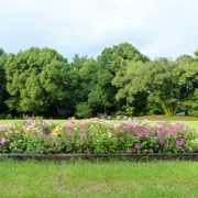 宫崎市平和台公園。