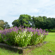 宫崎市平和台公園。