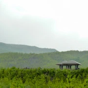 有村溶岩展望所。