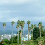 在旅遊車上等待出發的時間。