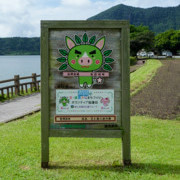 上次只在車上經過的池田湖。