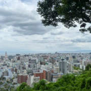 陰天有時也不錯。