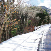 開始雪地歷險。