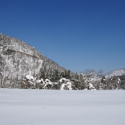 荻町合掌村落。