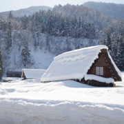 荻町合掌村落。