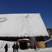 掃雪時，又吸引了我們。