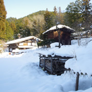 民俗村展示的舊有的住宅。