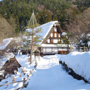 民俗村展示的舊有的住宅。