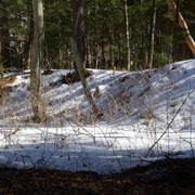 當然少不了我們又愛又恨的雪景。