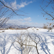 還有，就是周邊的雪景。