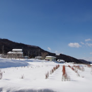 冰天雪地的世界。