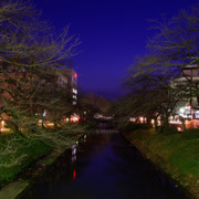 只有富山市夜景。