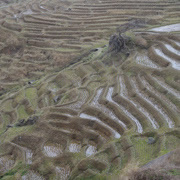 白米の千枚田。