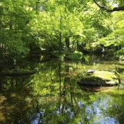 岐阜公園。
