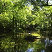 岐阜公園。