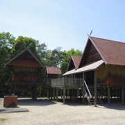 泰國樹屋。