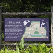 北海道展館。
