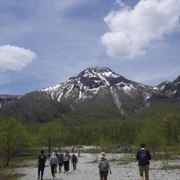 大正池前行。