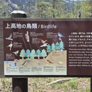 大正池前行。