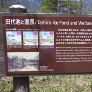 田代濕原。
