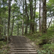 前往田代橋。